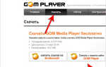 Cкачать программу Gom Player