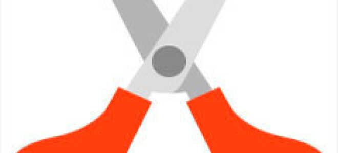 Вырезать фрагмент из видео +ВИДЕОУРОК