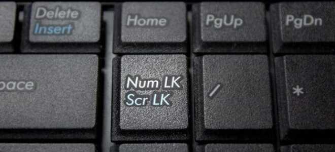 Как включить боковую клавиатуру с цифрами на ноутбуке