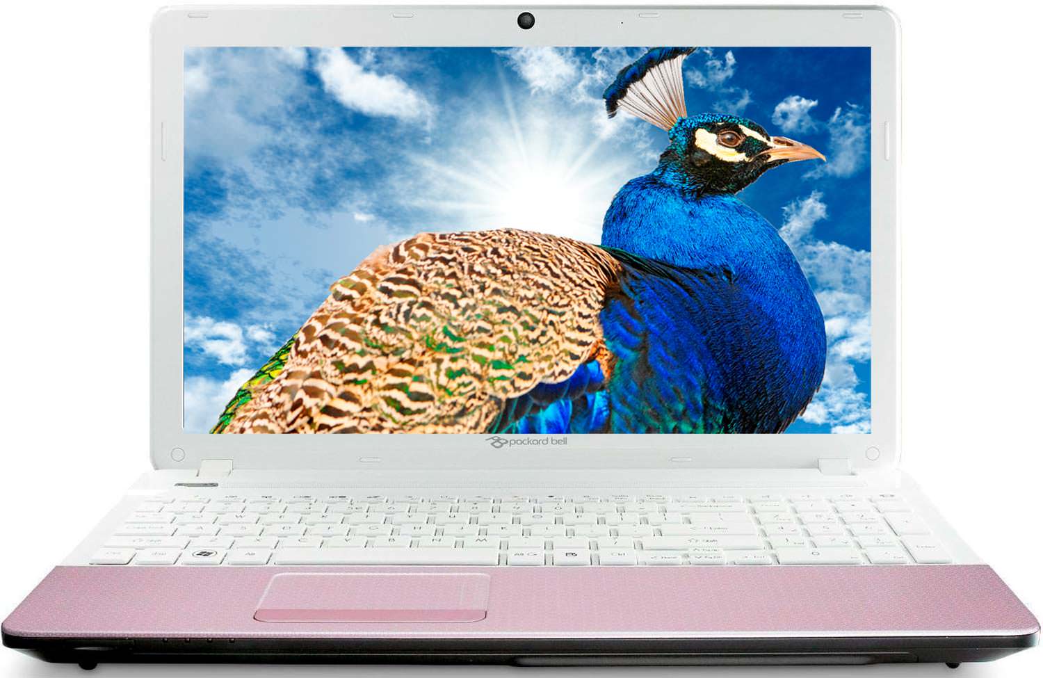 Packard Bell EasyNote TS45 Intel 2