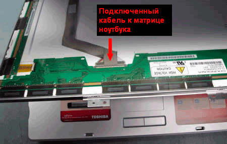 beliy-ekran-1