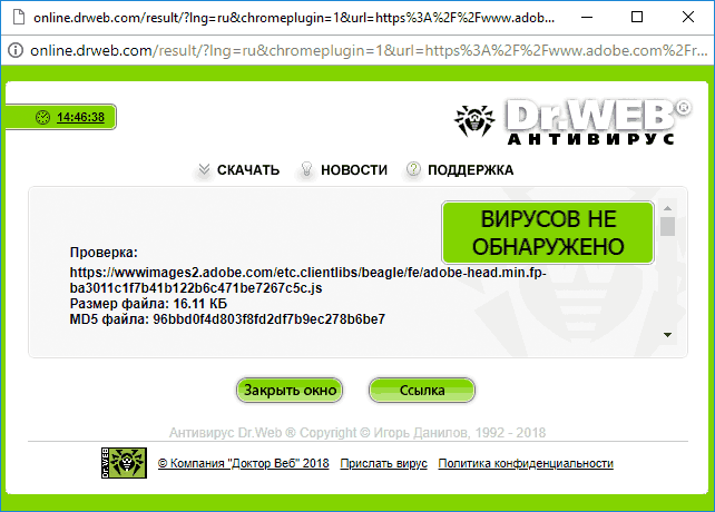 Результат проверки сайта в Dr. Web
