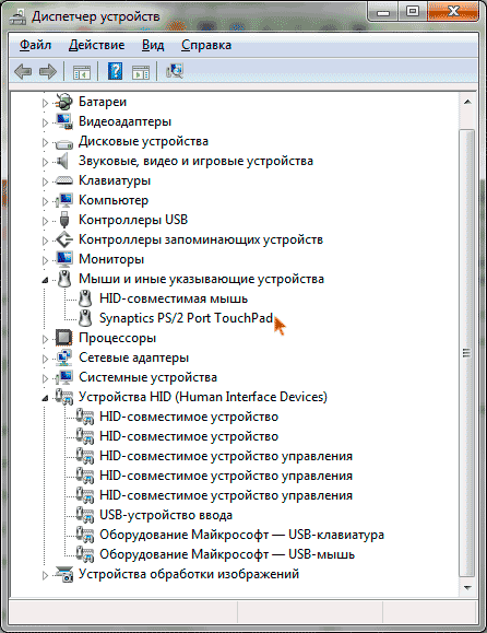 kak-otklyuchit-tachpad-na-noutbuke-3