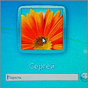 поставить пароль в Windows 7