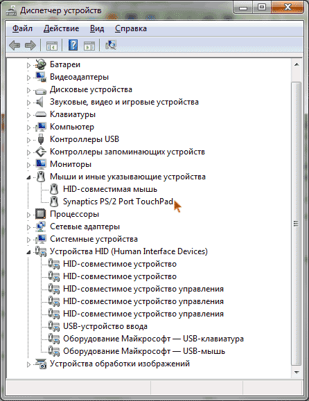 Тачпад в диспетчере устройств